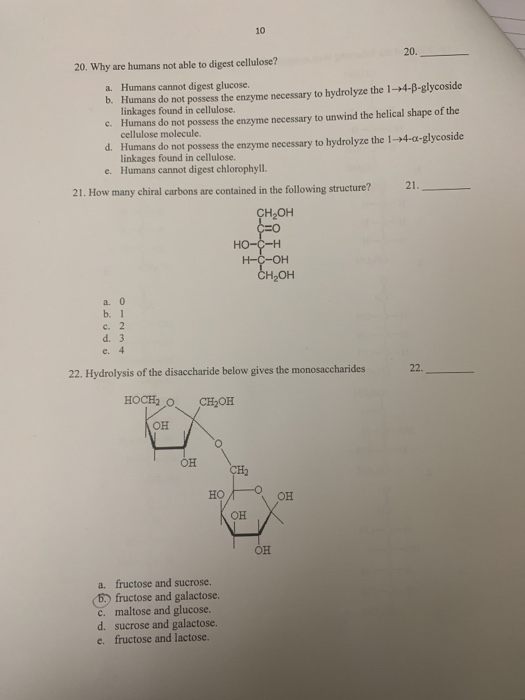 Why Can T Cellulose Be Digested By Humans Hasma