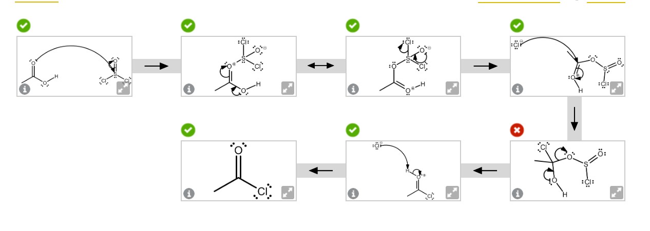 Solved Can someone please explain why step 5 is wrong and | Chegg.com