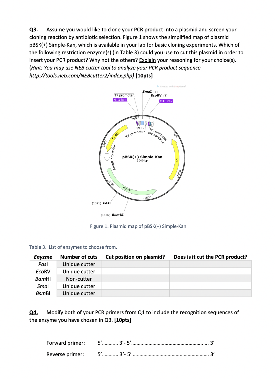 Solved Q3. Assume you would like to clone your PCR product | Chegg.com