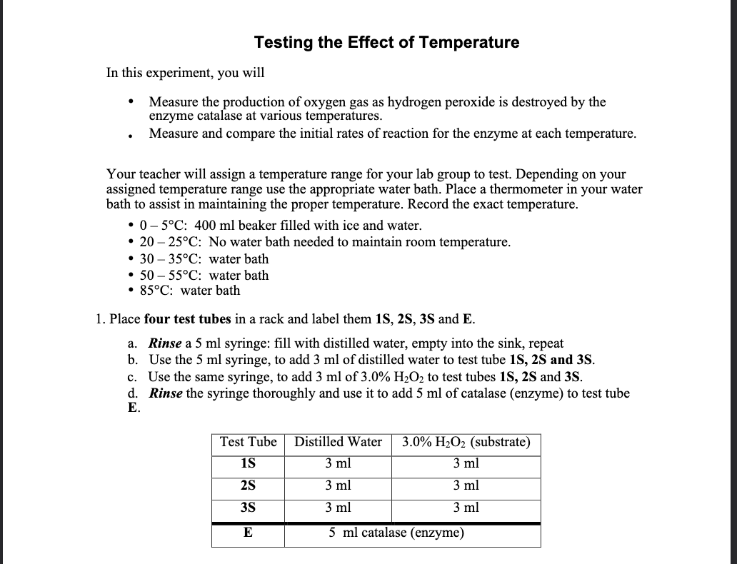 enzyme and temperature experiment