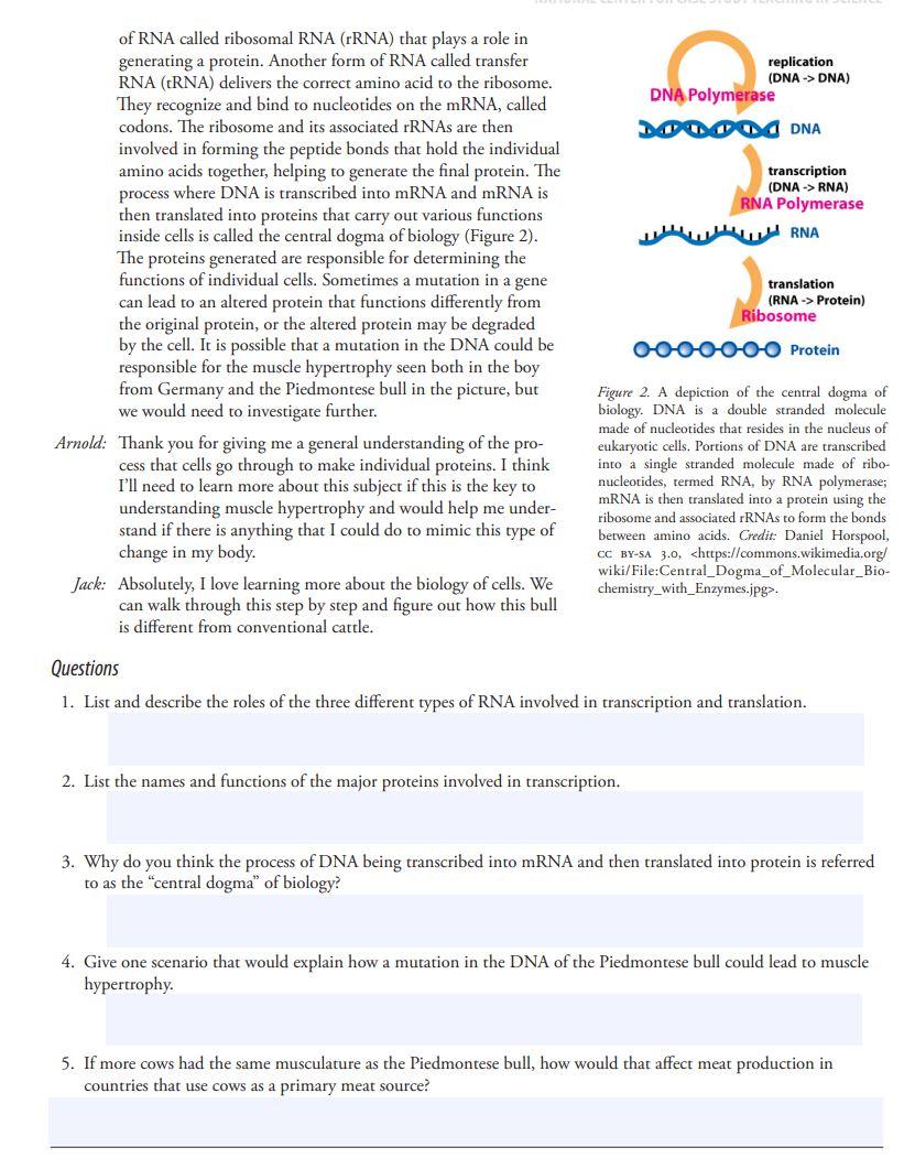 Solved Part 1 - The Central Dogma of Biology Arnold: Jack, | Chegg.com