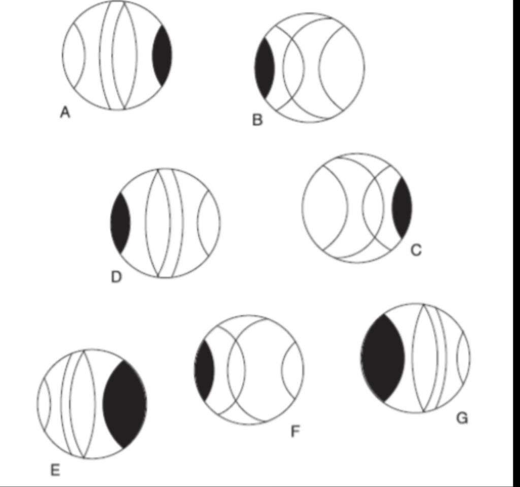 solved-which-one-is-the-odd-one-out-solve-the-chegg