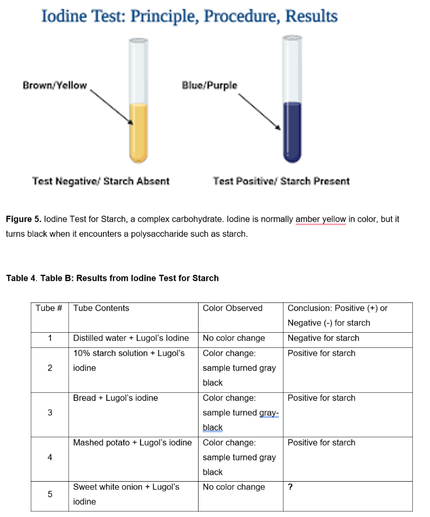 Solved Qualitative test for Starch Iodine Test for Chegg