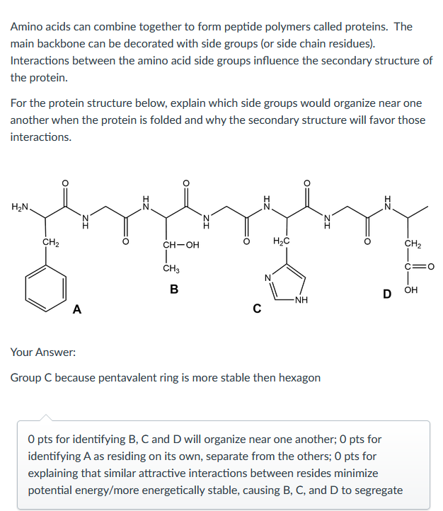 Amino acids can combine together to form peptide