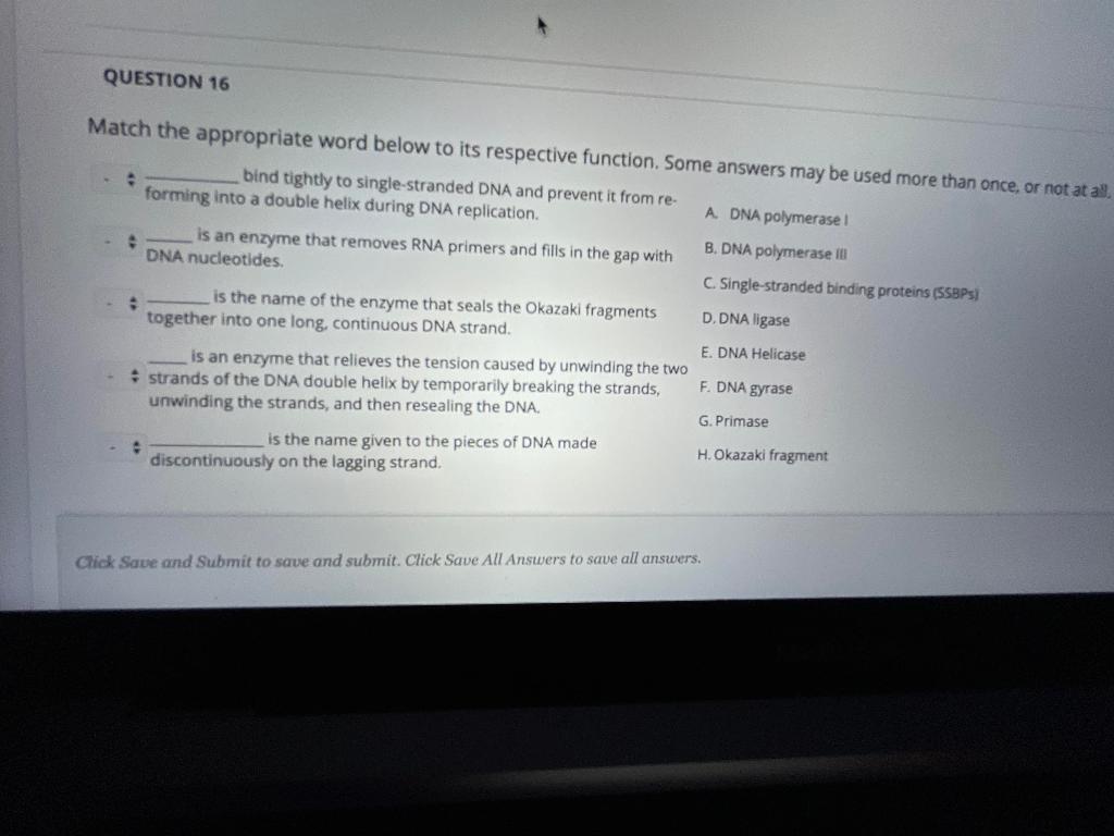 Solved QUESTION 16 Match the appropriate word below to its | Chegg.com