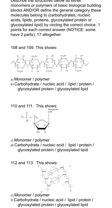 30-building-blocks-of-carbohydrates-and-protein-building-blocks