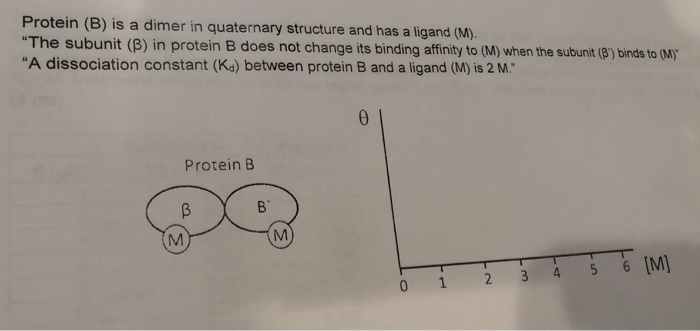 Solved Please Draw The Binding Curve Of Protein B Based On | Chegg.com