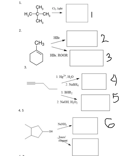 Solved Numbers 1-6 are not quite correct. Could you pleae | Chegg.com