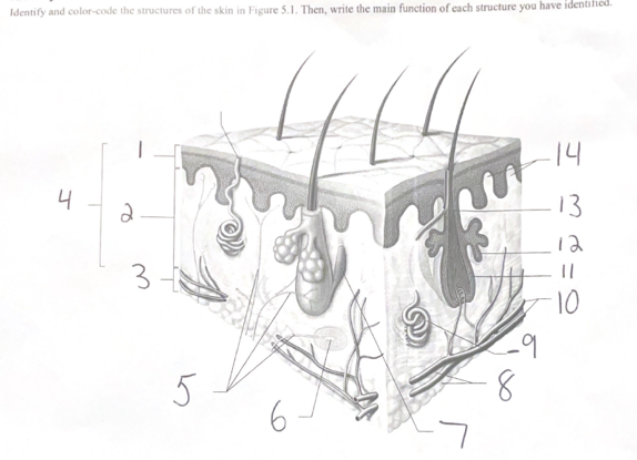 student submitted image, transcription available below