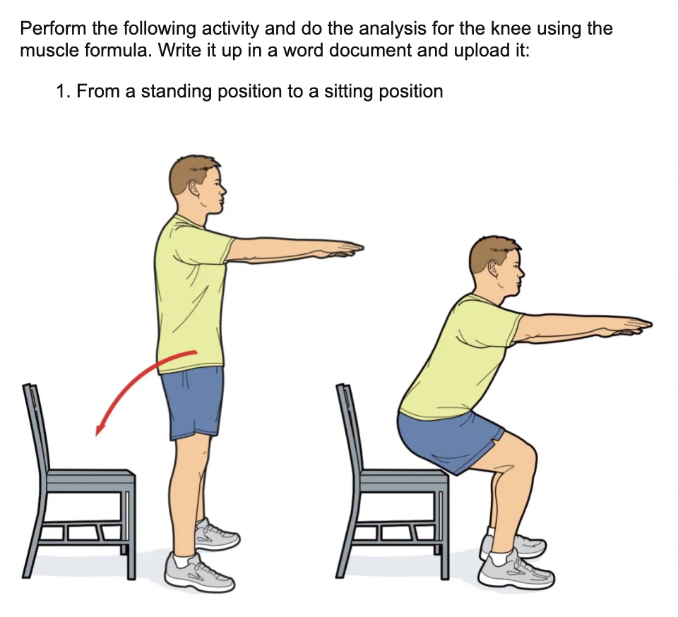 Sitting to standing discount exercise