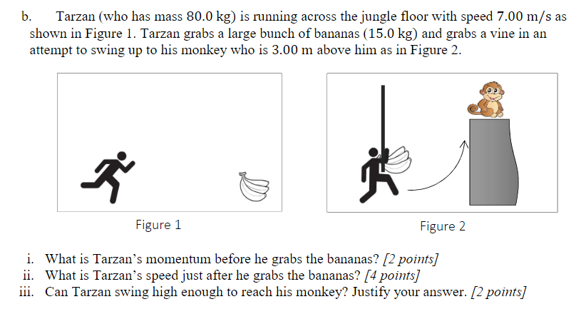 Solved B Tarzan Who Has Mass 800 Kg Is Running Across