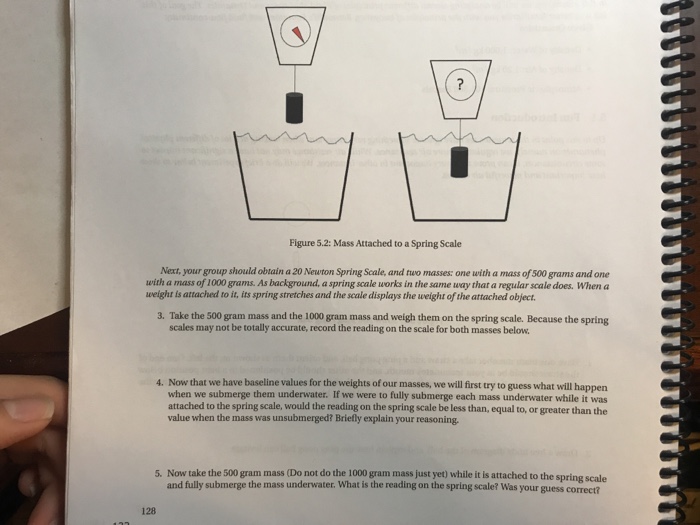 Solved Figure 5.2: Mass Attached to a Spring Scale Next, | Chegg.com