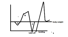 Solved Figure 1 depicts the vertical ground reaction force | Chegg.com