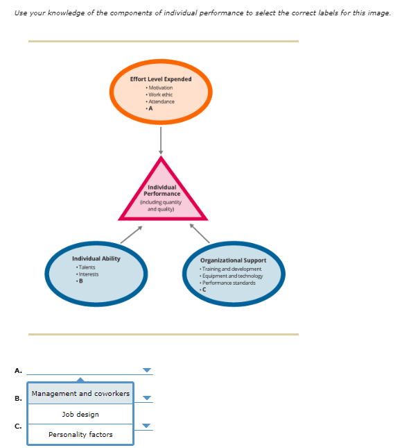 Use your knowledge of the components of individual
