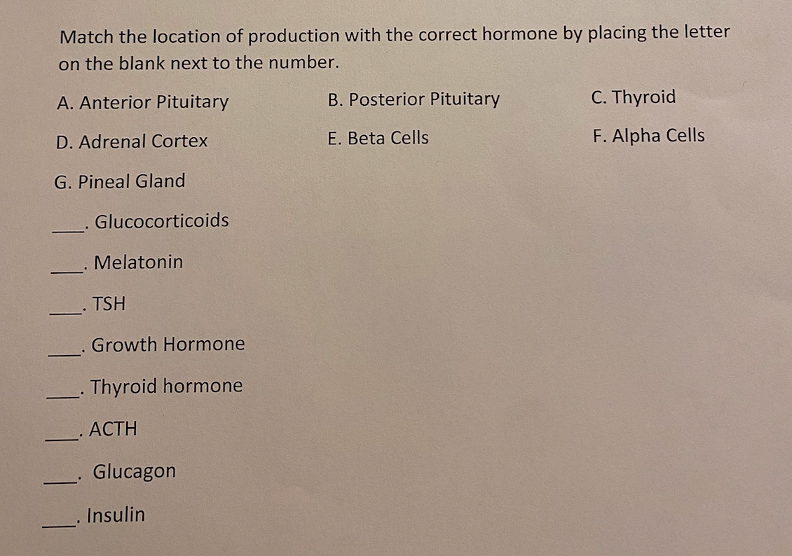 solved-endocrine-worksheet-1-what-is-a-target-cell-2-list-chegg