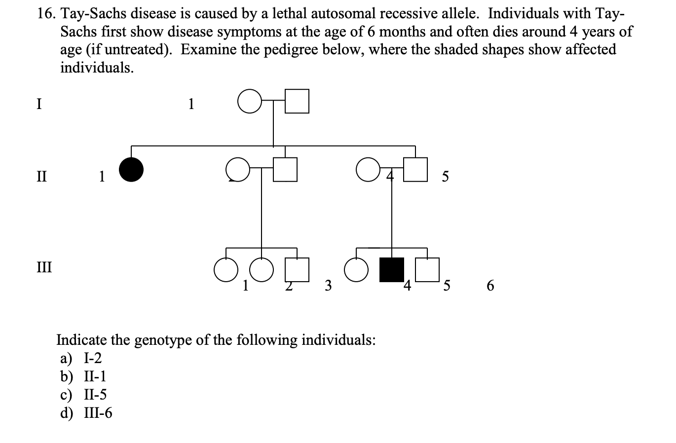 Solved 16. Tay-Sachs disease is caused by a lethal autosomal | Chegg.com