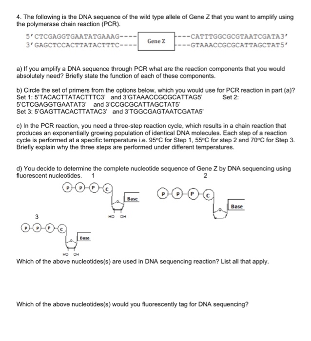 Solved 1. A 100 uL PCR contains primers at a concentration