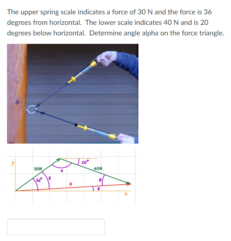 Solved The upper spring scale indicates a force of 30 N and | Chegg.com