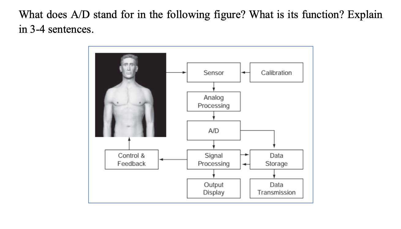 Solved What does A/D stand for in the following figure? What