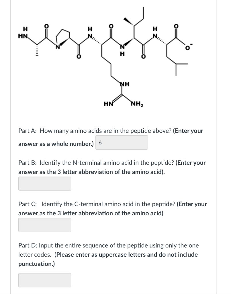 Solved Examine The Following Peptide: | Chegg.com