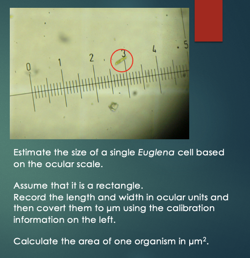  Othmro 1Pcs Mini 100X Microscope, Magnifying Glass