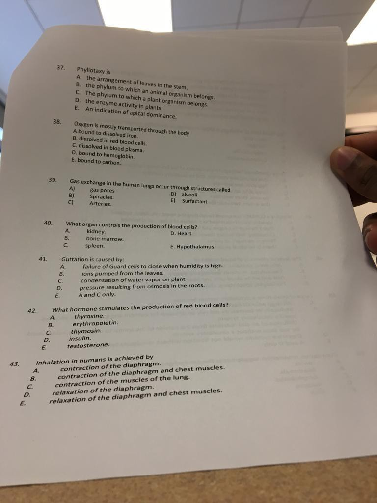 Solved 37 Phyllotaxy is A the arrangement of leaves in the Chegg com