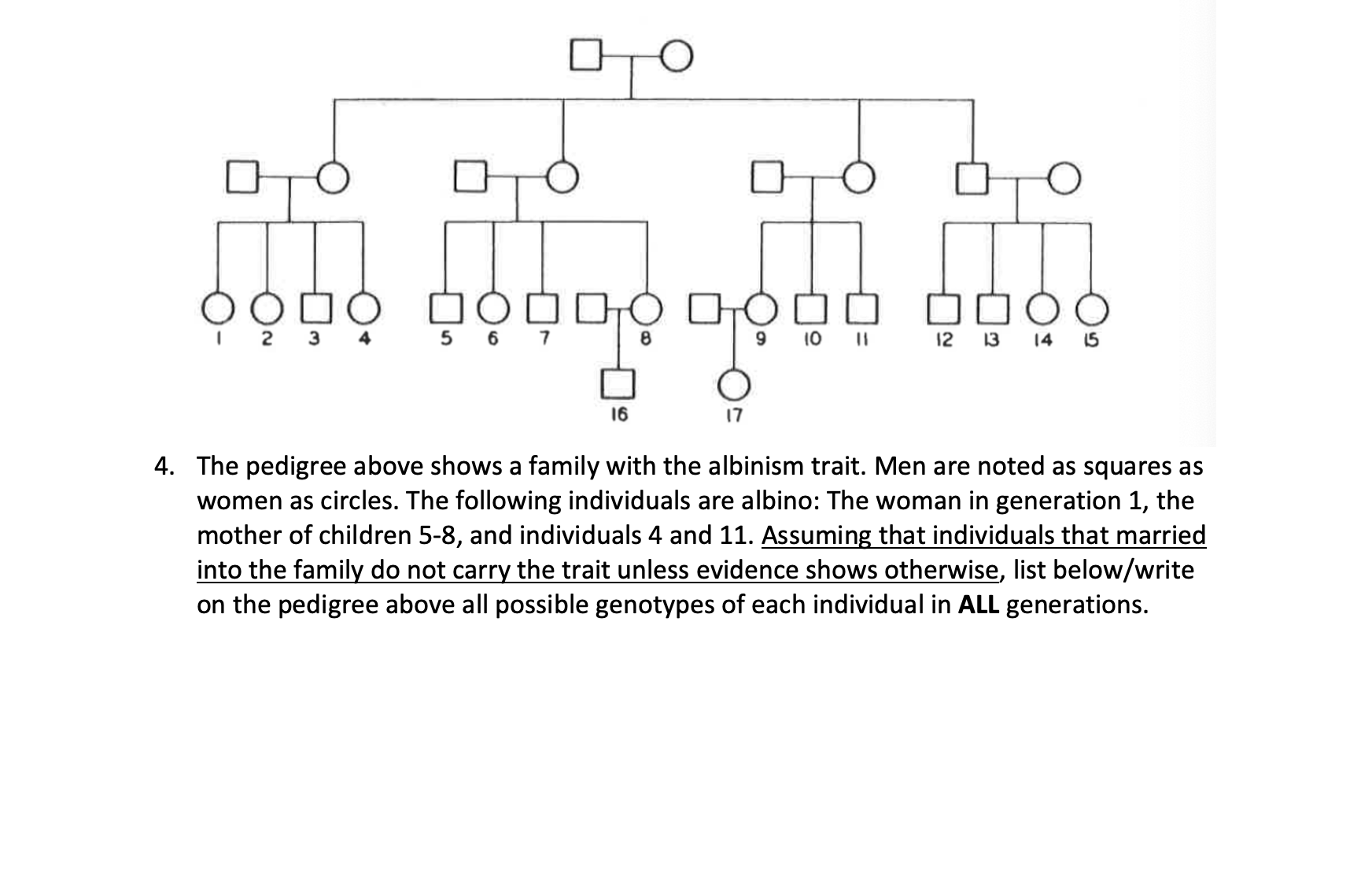 Solved The pedigree above shows a family with the albinism | Chegg.com