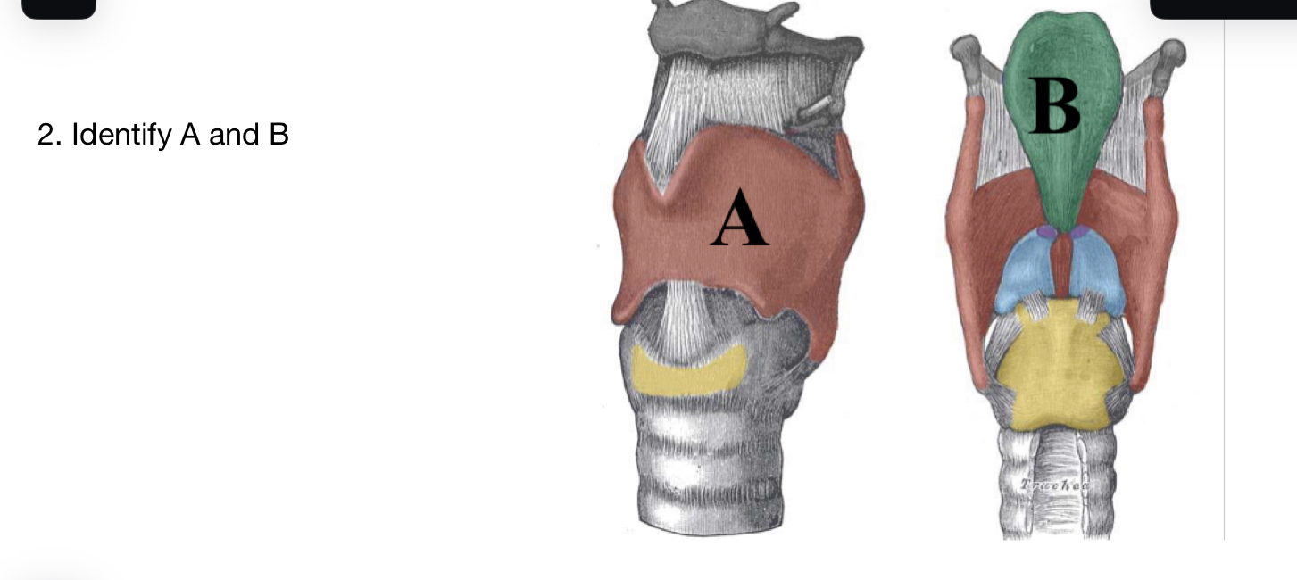 Solved 2. Identify A And B | Chegg.com