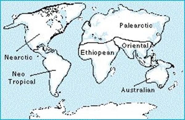 Solved 8. (6 points) (a) This map shows the locations and | Chegg.com