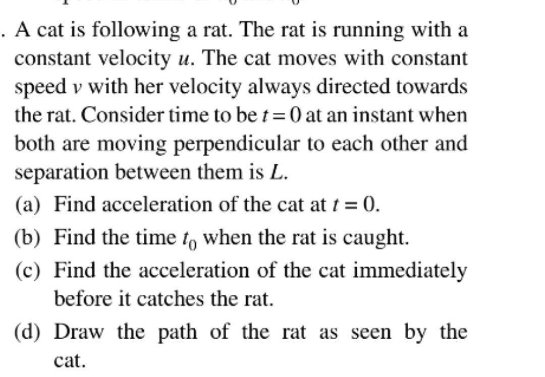 Solved . A cat is following a rat. The rat is running with a | Chegg.com