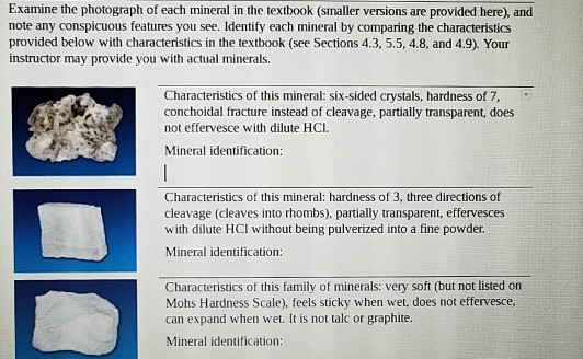 Examine The Photograph Of Each Mineral In The | Chegg.com