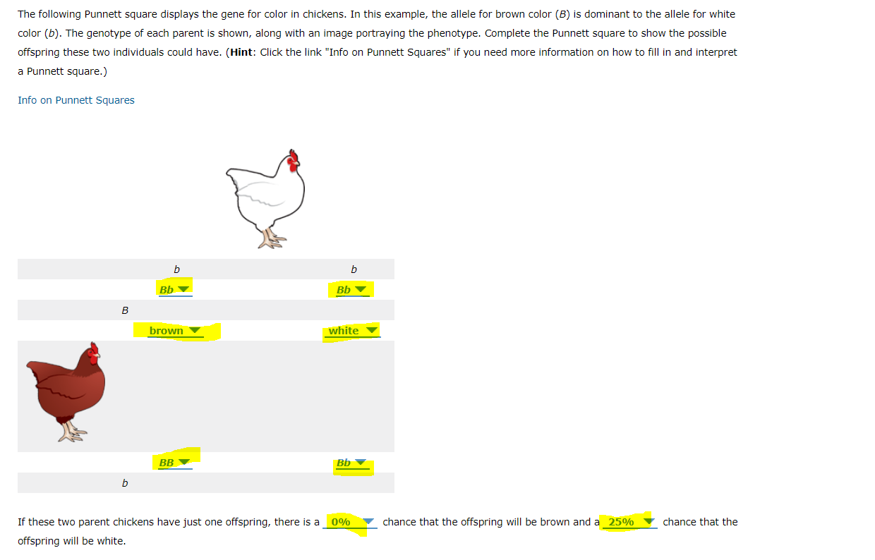 Solved The following Punnett square displays the gene for | Chegg.com
