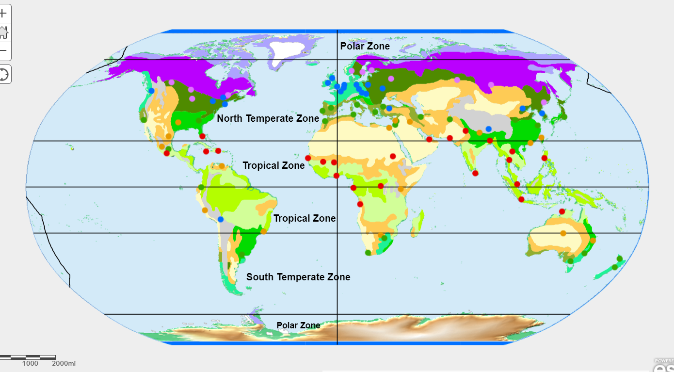 Polar World Map Time Zones Map - vrogue.co