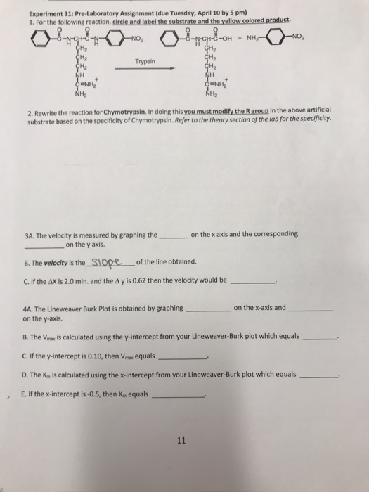 Solved Experiment 11 PreLaboratory Assignment (due