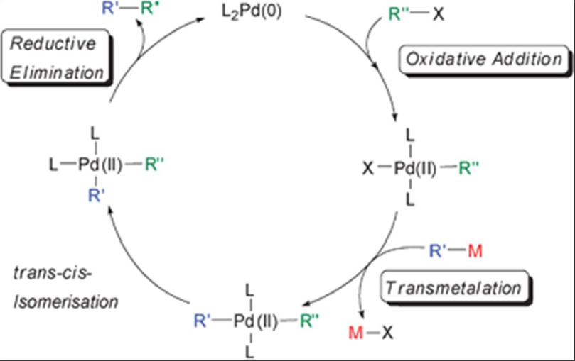 Solved Question) Draw the catalytic cycle of catalyzed | Chegg.com