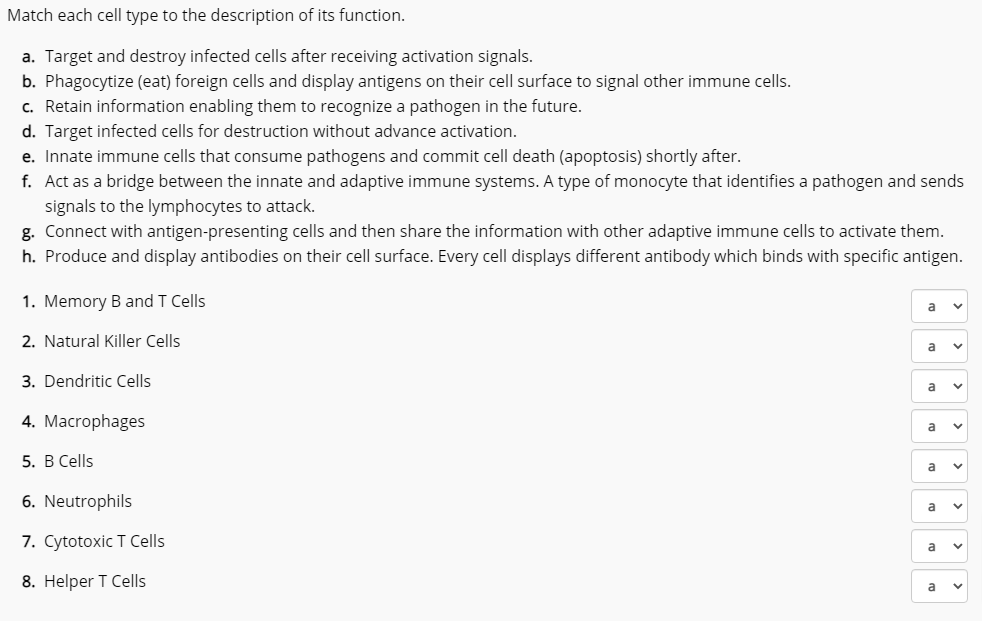 Solved Match Each Cell Type To The Description Of Its Chegg