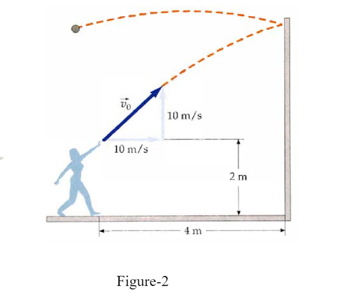 Solved 2. A girl throws a ball at a vertical wall 4 m away