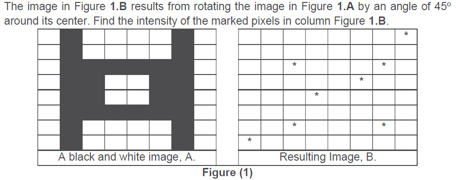 Solved The Image In Figure 1.B Results From Rotating The | Chegg.com