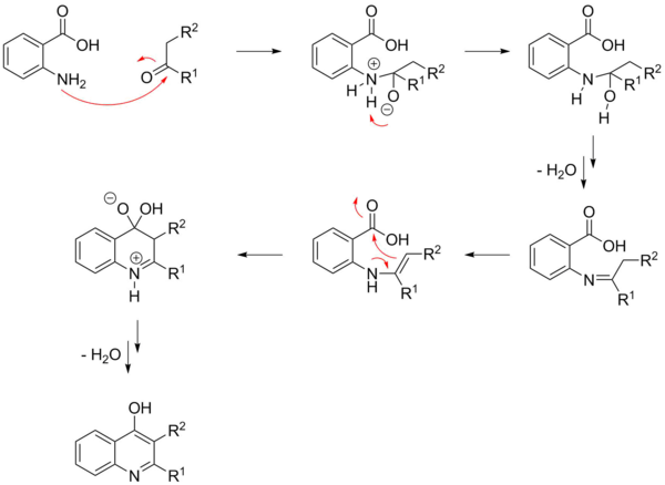 Solved Explain what is happening in the Niementowski | Chegg.com