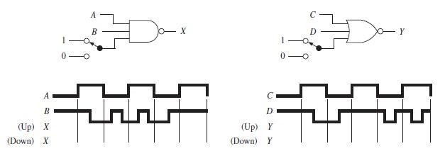 Solved Complete the waveform of X and Y for the following | Chegg.com