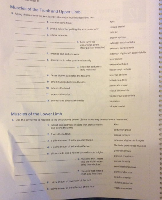 Solved Please help me answer these correctly and completely. | Chegg.com
