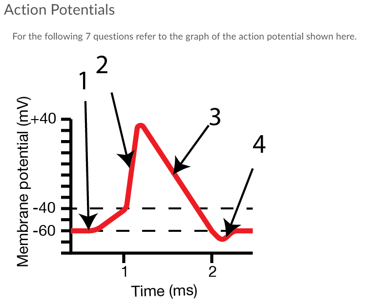 Solved Action Potentials For the following 7 questions refer | Chegg.com