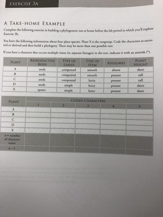 Solved EXERCISE 3A A TAKE-HOME EXAMPLE Complete the | Chegg.com