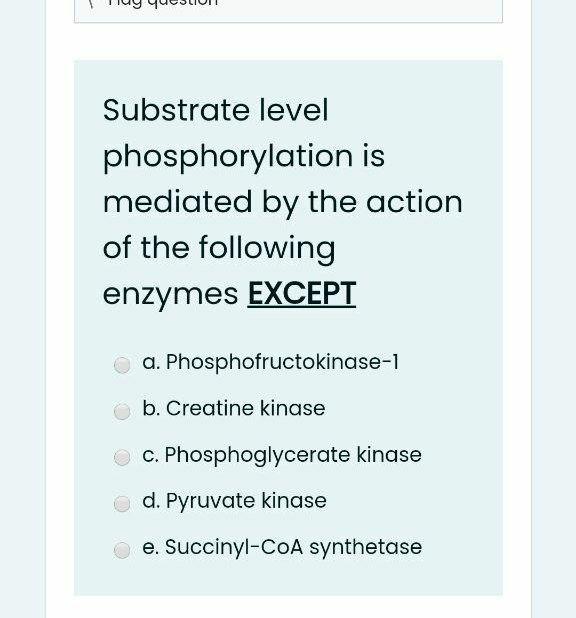 Solved Substrate Level Phosphorylation Is Mediated By The