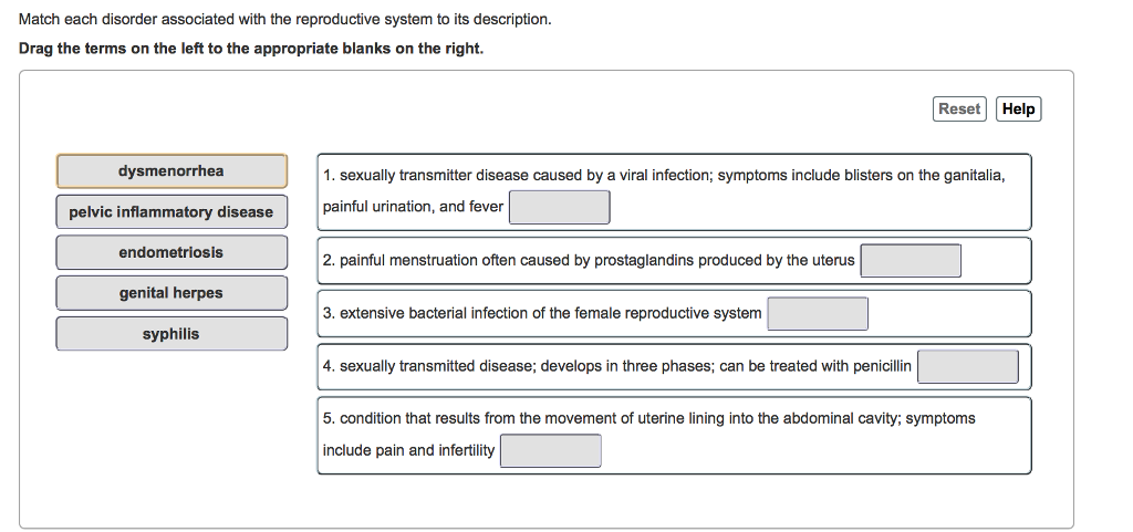 Solved Match each disorder associated with the reproductive | Chegg.com