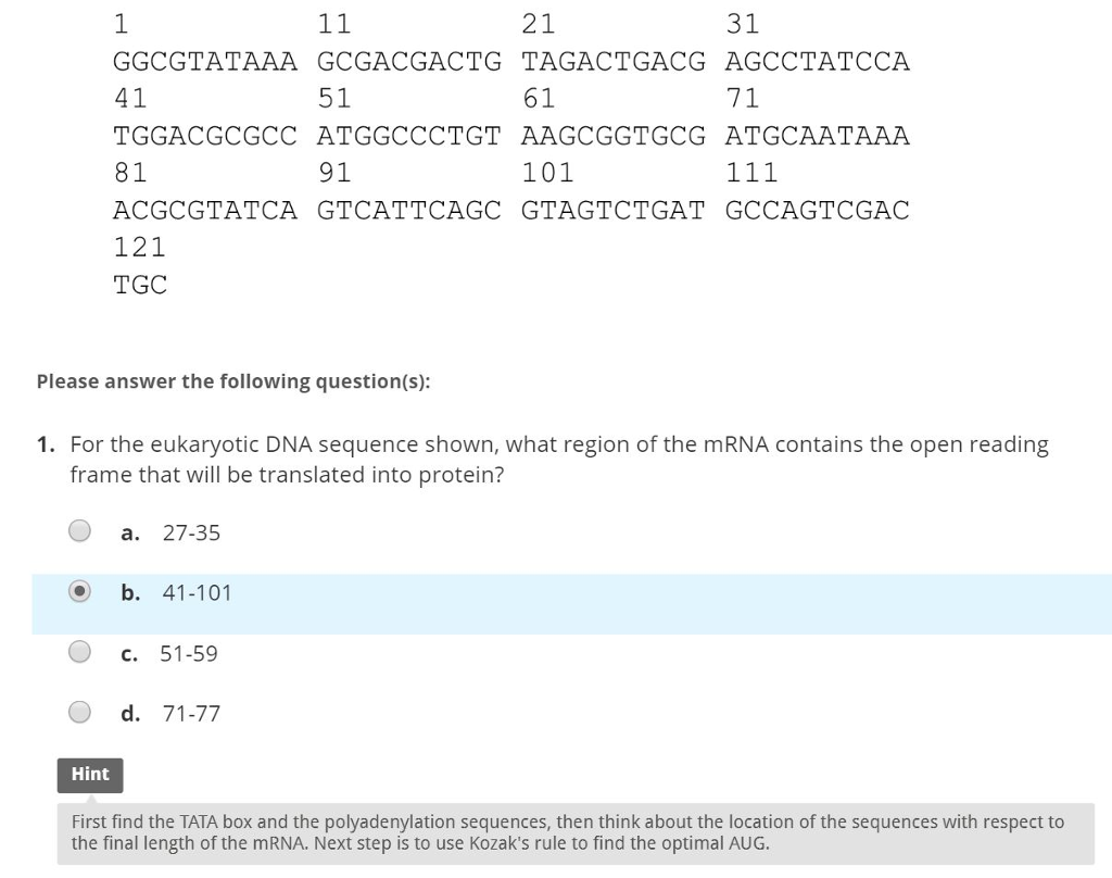 What Is Open Reading Frame In Dna | Webframes.org