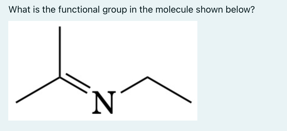 Solved What is the functional group in the molecule shown | Chegg.com