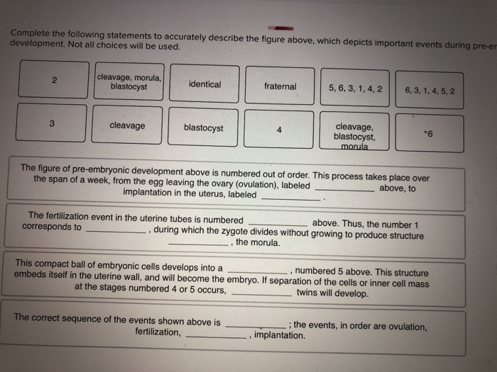 Solved Complete the following statements to accurately | Chegg.com