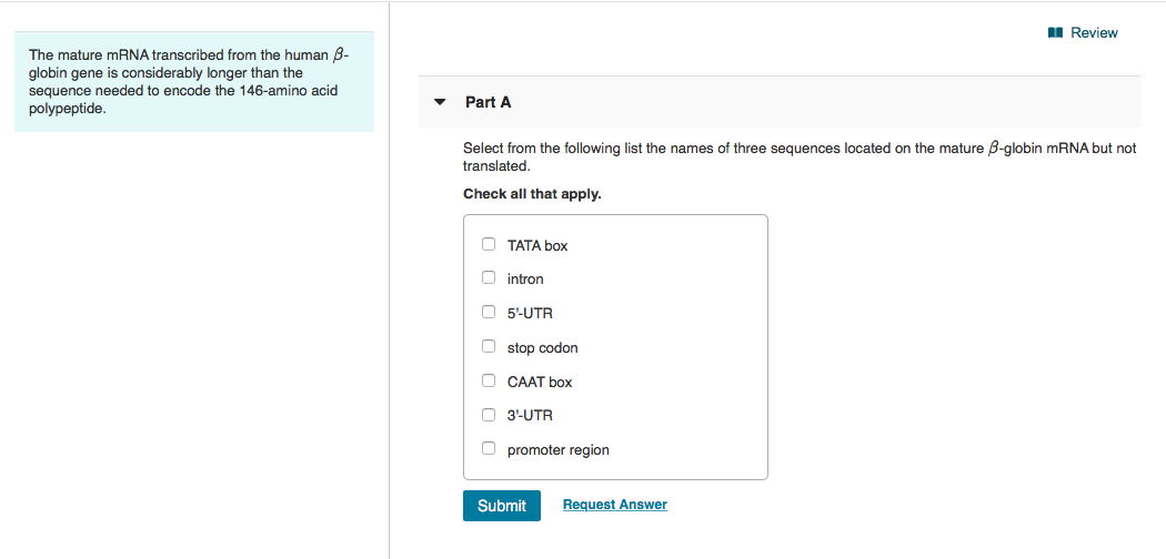Solved A Review The mature mRNA transcribed from the human | Chegg.com