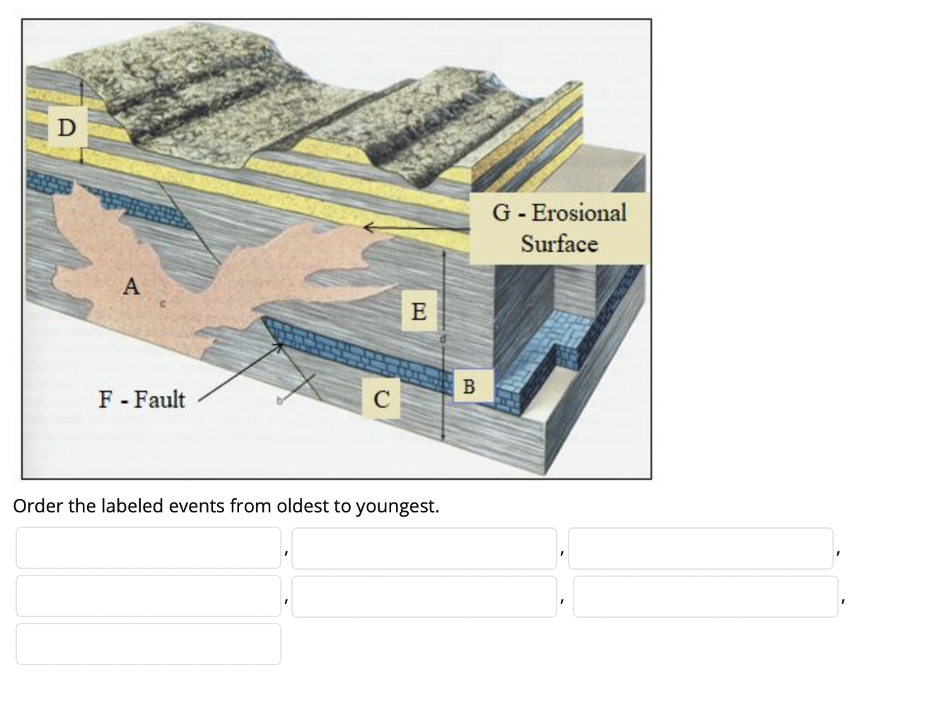 Solved E A: A. B. B D с Order the labled units and events | Chegg.com